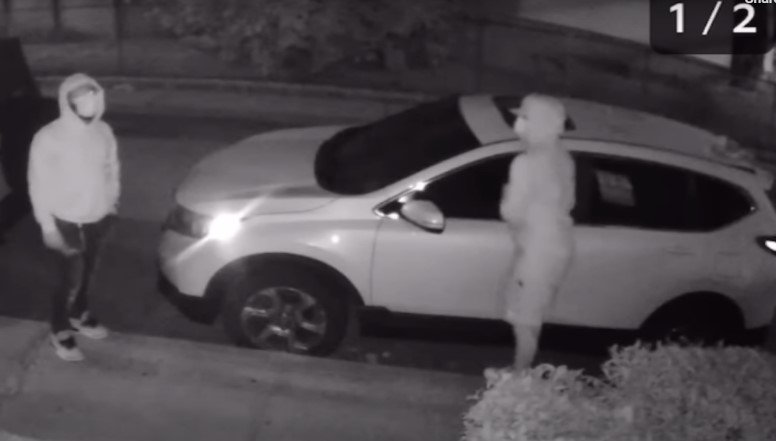 Car theft problem